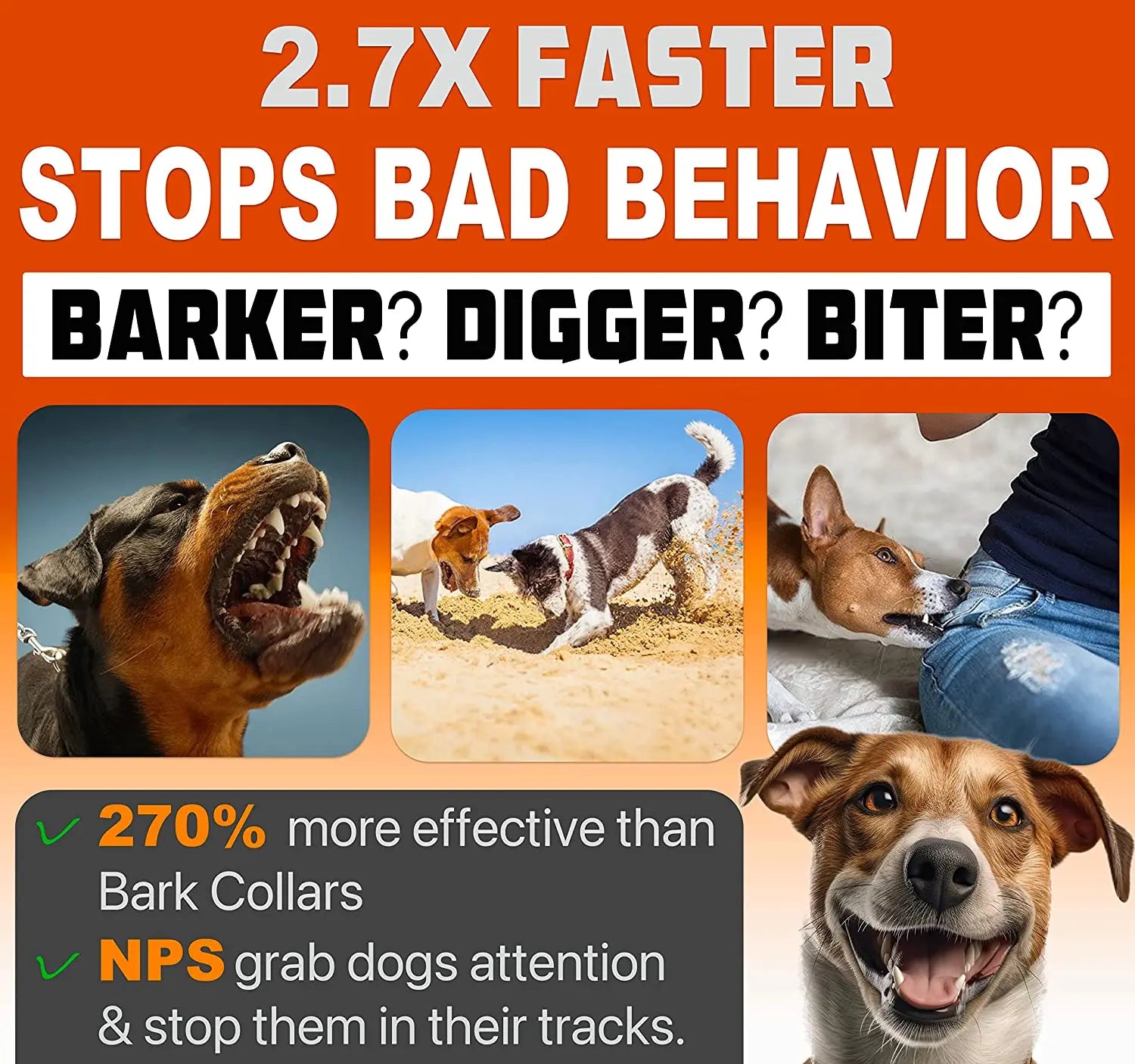 Anti Bark Device for Dogs